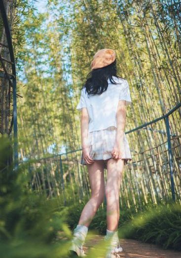 汪汪队立大功中文版免费全集