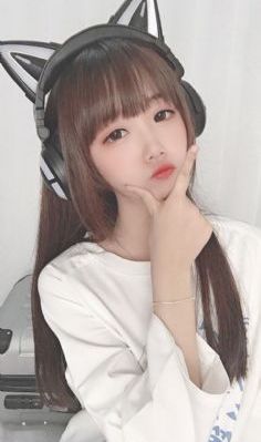 十二谭电视剧全集免费版在线观看